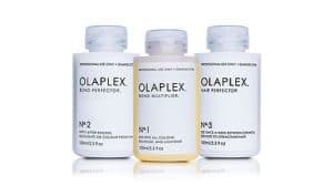 Olaplex window cling